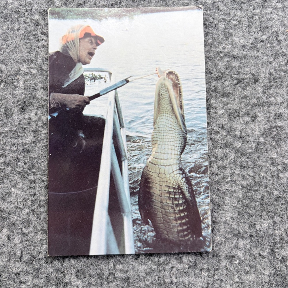 Vintage Annie Miller's Renowned Swamp Tours Postcard Houma Louisiana Alligator